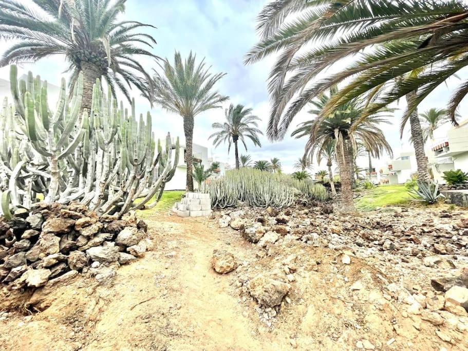 Apartamento Con Piscina Sur De Tenerife طوستا ديل سيلونثيو المظهر الخارجي الصورة